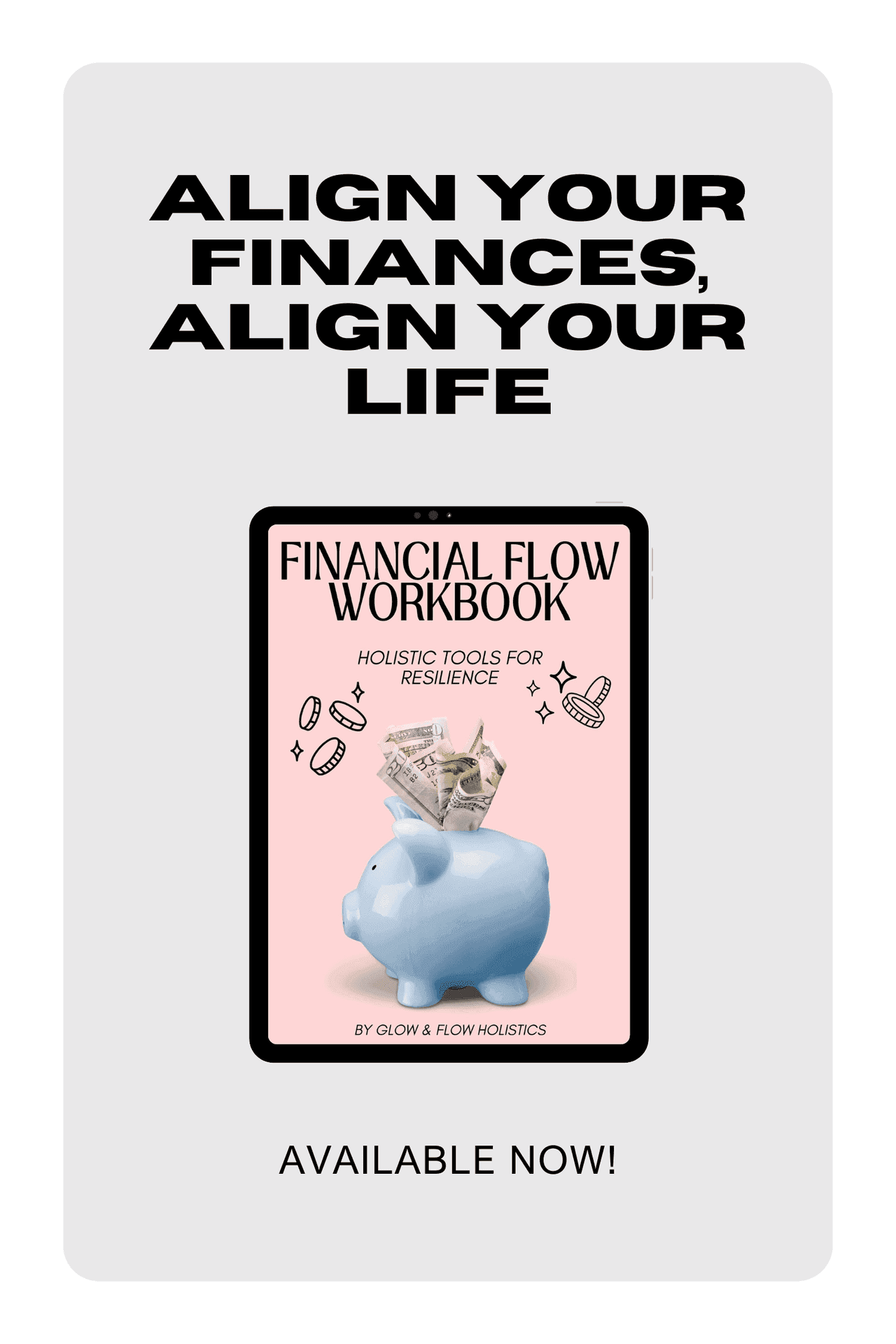 Financial Flow Workbook cover with piggy bank and cash, text promoting holistic financial resilience tools.
