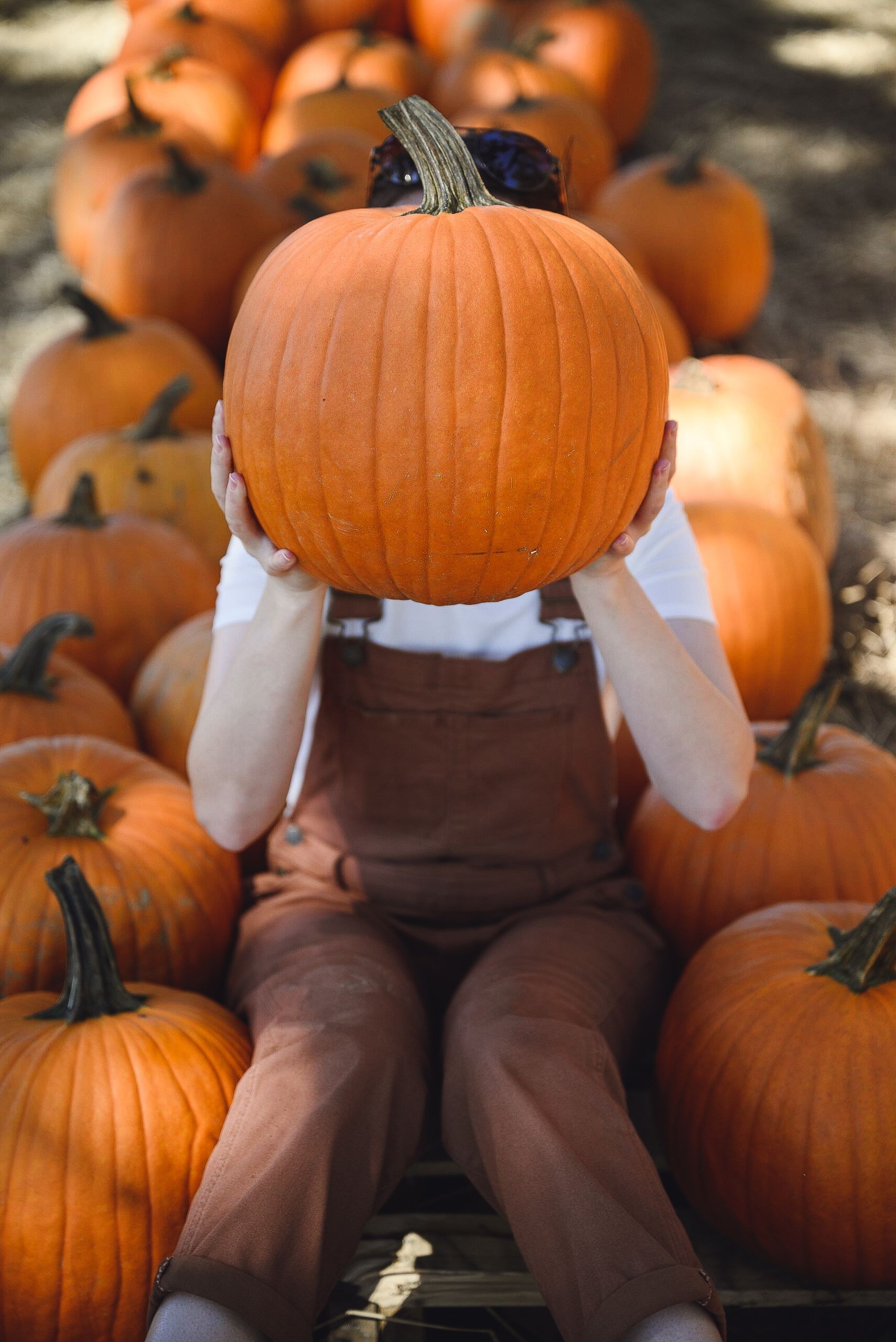 A person holding a large pumpkin at a pumpkin patch.