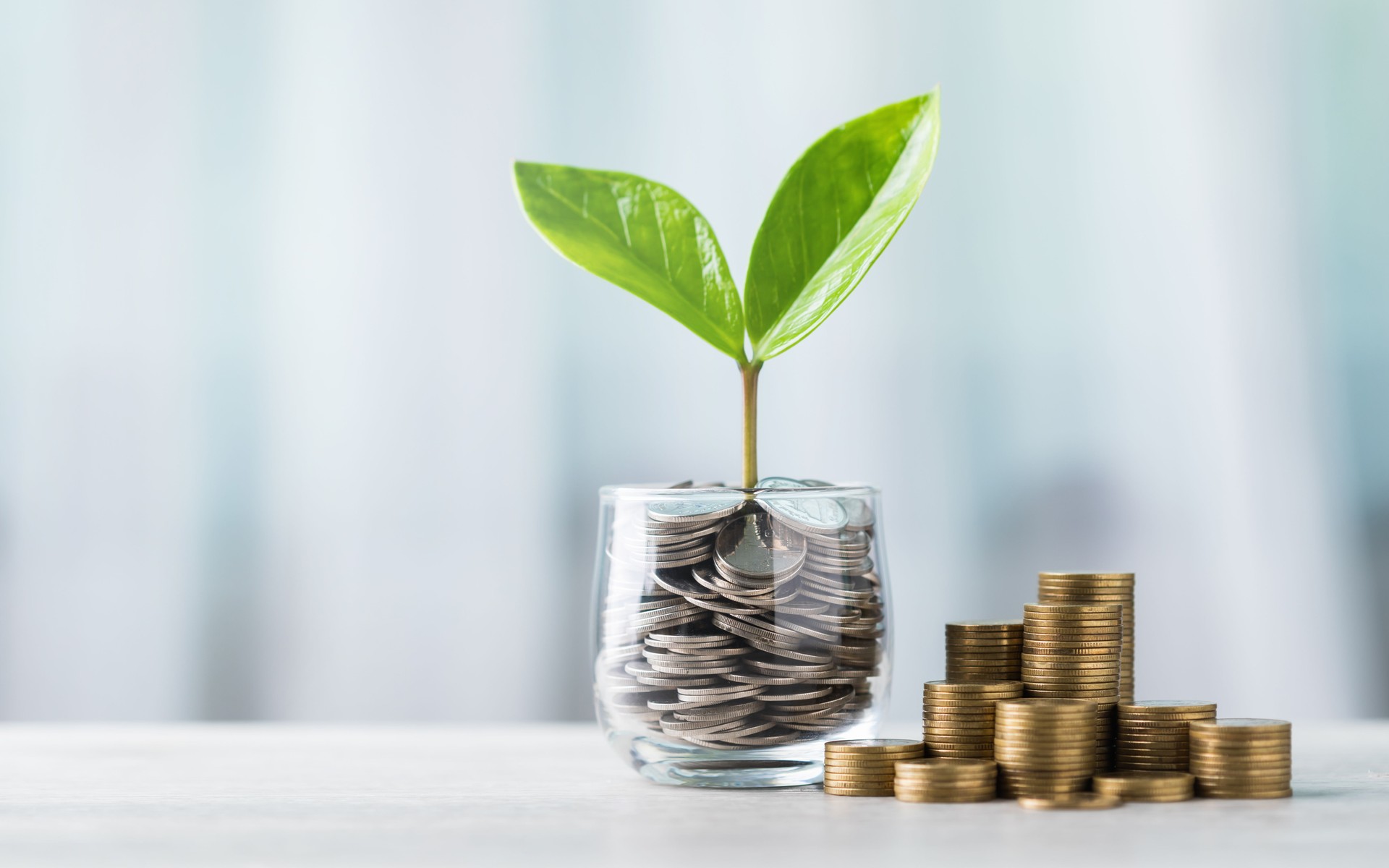 Glass jar filled with coins and a small seedling in the center, with stacks of coins arranged from smallest to largest on a table. Highlights the concept of saving and financial growth